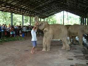 SriLanka_30