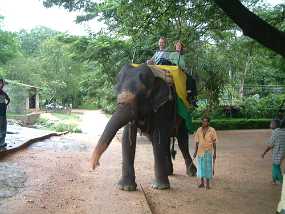 SriLanka_86